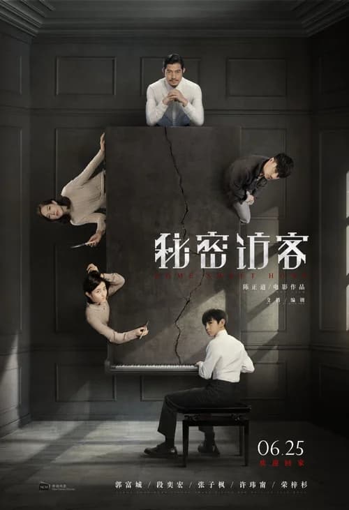 Poster phim Vị Khách Bí Ẩn (2021)