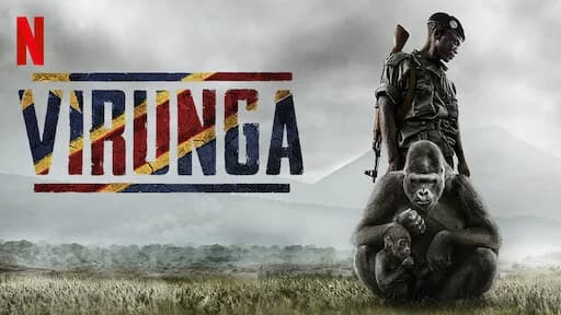 Backdrop phim Virunga