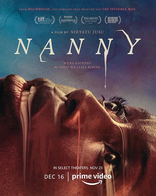 Poster phim Vú Nuôi (2022)