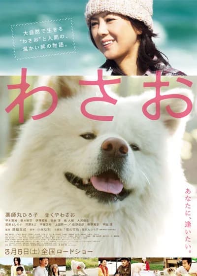 Poster phim Wasao (2011)