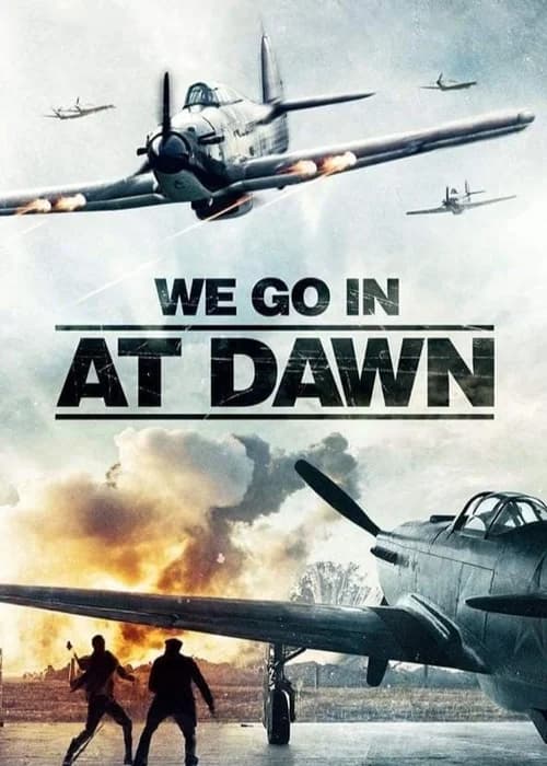 Poster phim We go in at Dawn (2020)