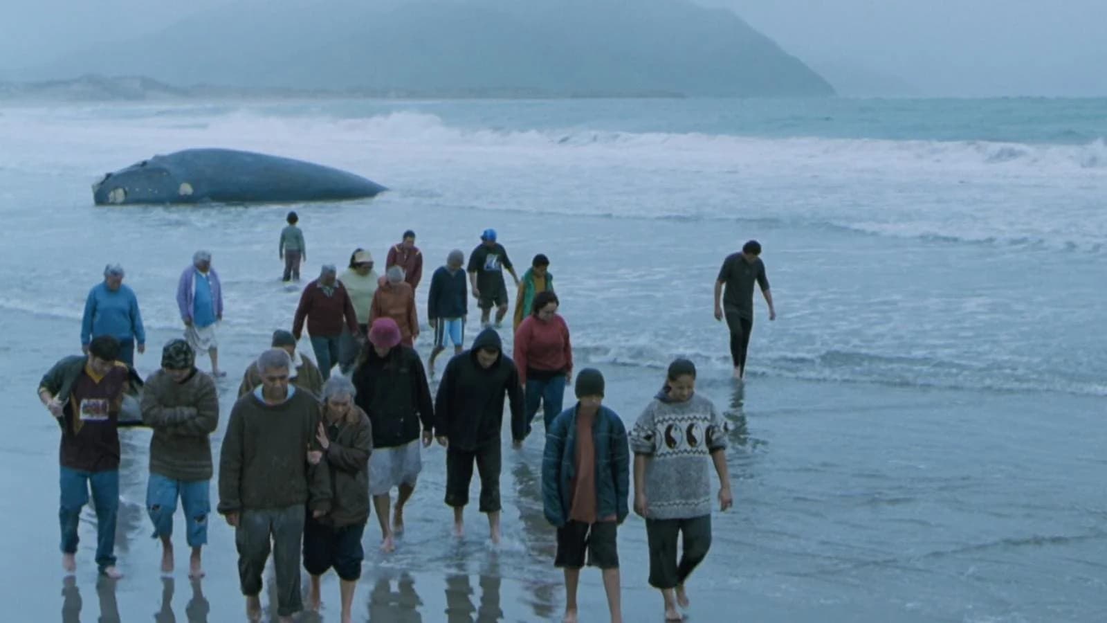 Backdrop phim Whale Rider