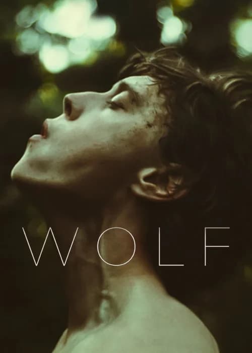 Poster phim Sói trong lốt người