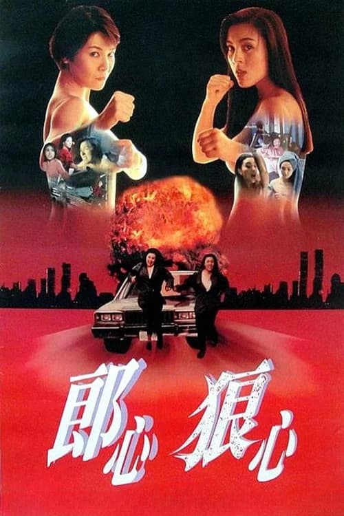 Poster phim Women on the Run (1993)