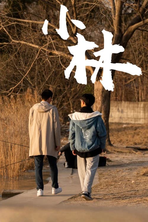 Poster phim Xiao Lin (2021)