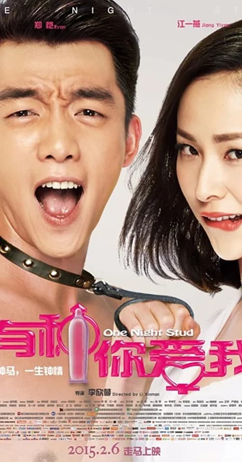 Poster phim Yêu Anh Vậy Đó (2015)