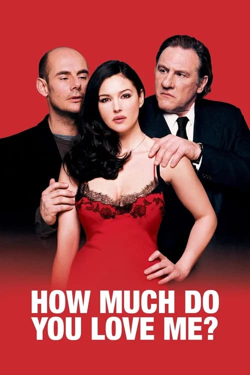 Poster phim Yêu Em Nhiều Bao Nhiêu (2005)