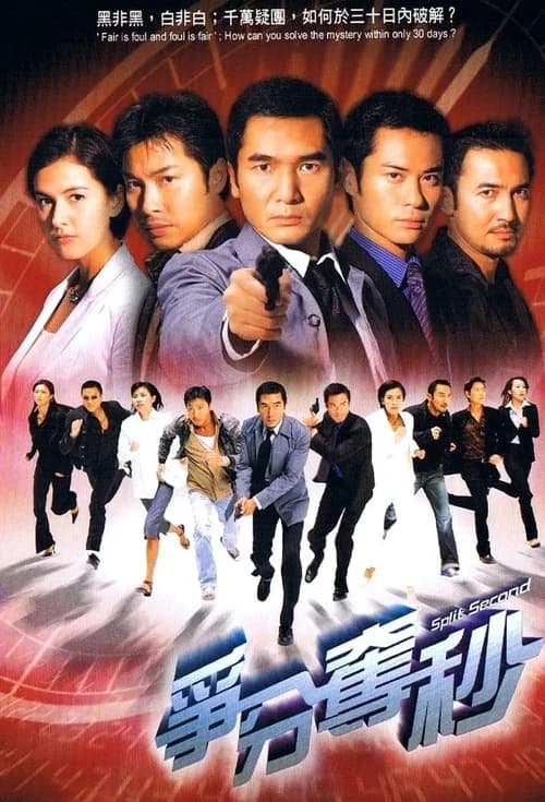 Poster phim 30 Ngày Điều Tra (2004)