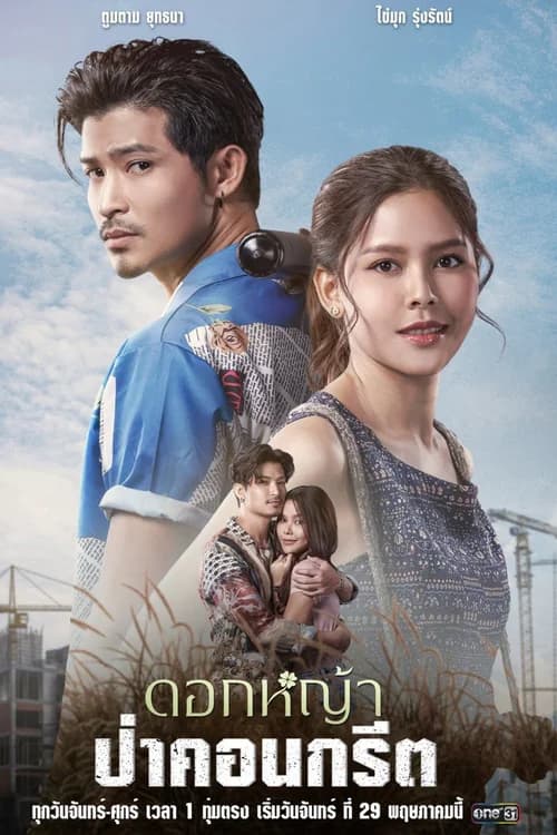 Poster phim A Wildflower in the City (2023)