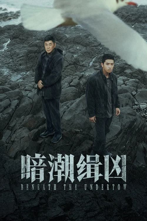 Poster phim Ám Triều Tập Hung (2025)