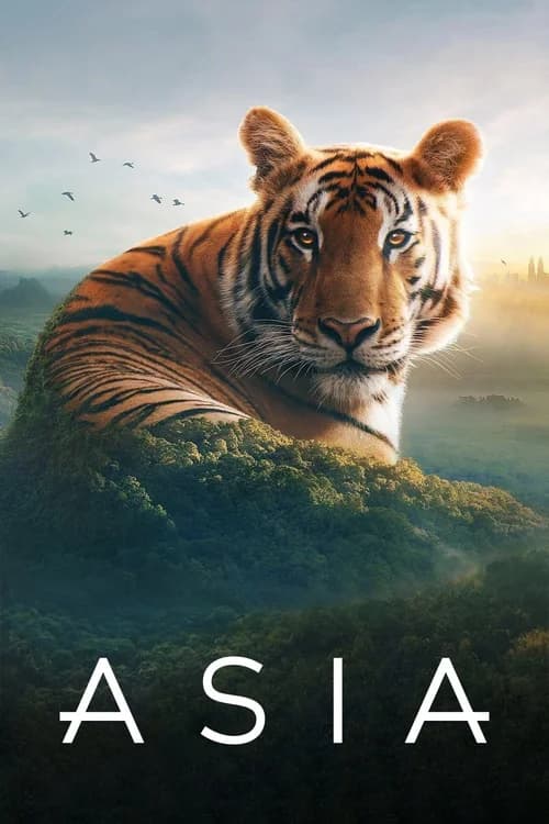 Poster phim Asia (2024)