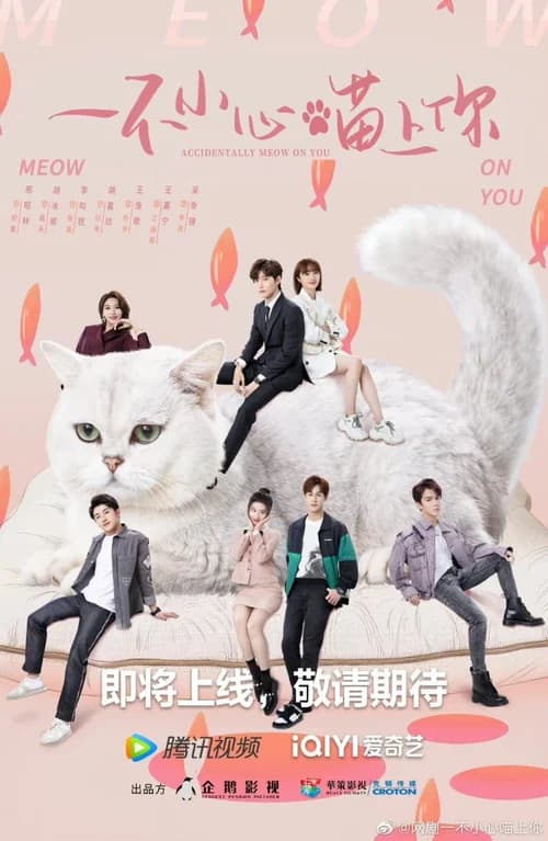 Poster phim Bất Cẩn Meow Phải Anh (2022)