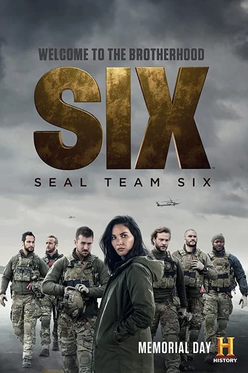Poster phim Biệt Đội Số 6 (Phần 2) (2017)