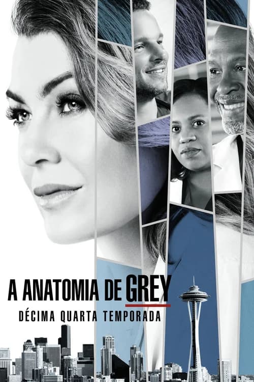 Poster phim Ca Phẫu Thuật Của Grey (Phần 14) (2005)