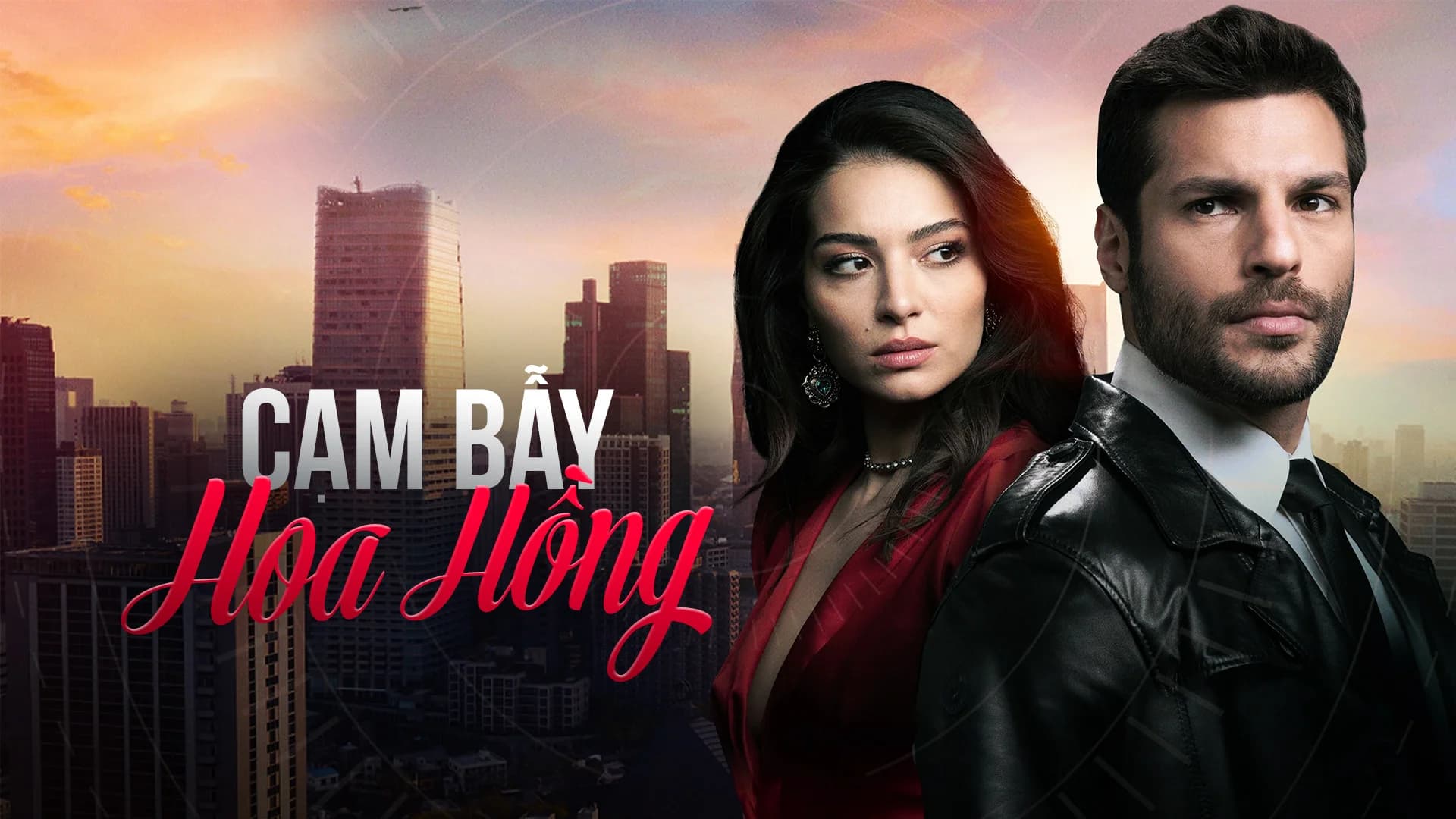 Backdrop phim Cạm Bẫy Hoa Hồng