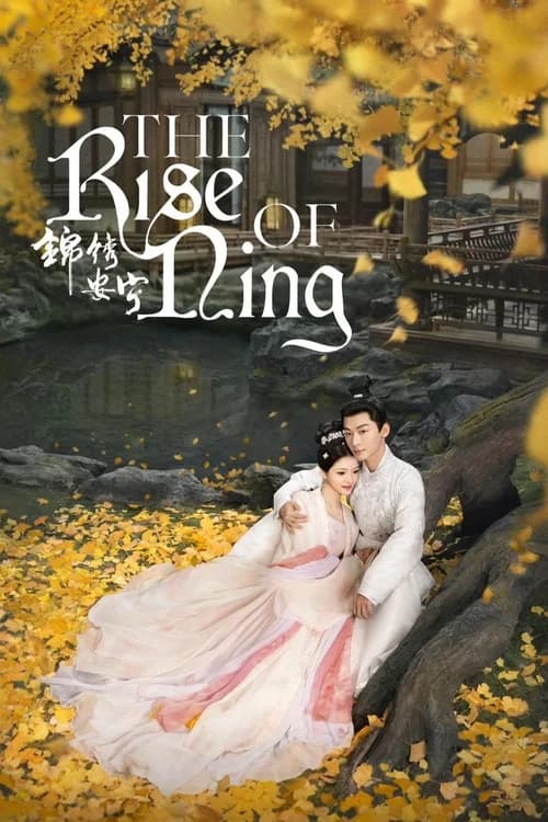 Poster phim Cẩm Tú An Ninh (2024)