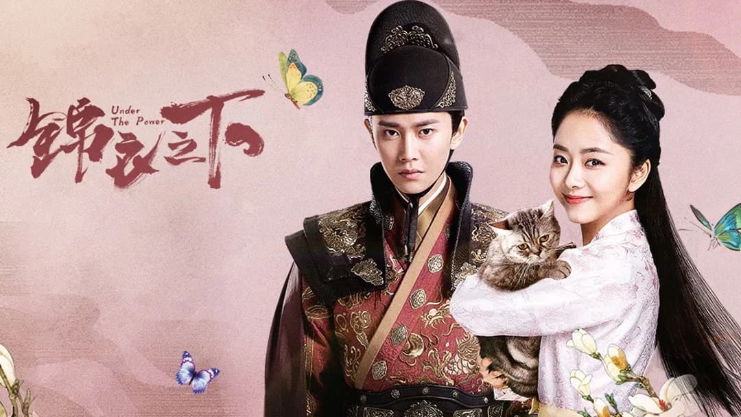 Backdrop phim Cẩm Y Chi Hạ