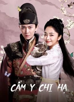 Poster phim Cẩm Y Chi Hạ (2019)