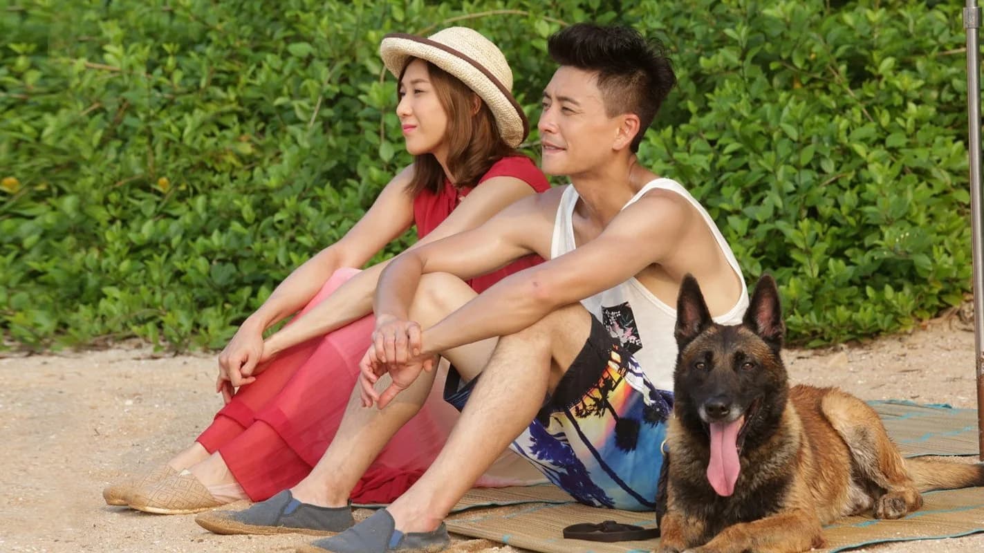 Backdrop phim Cảnh Khuyển Ba Đả