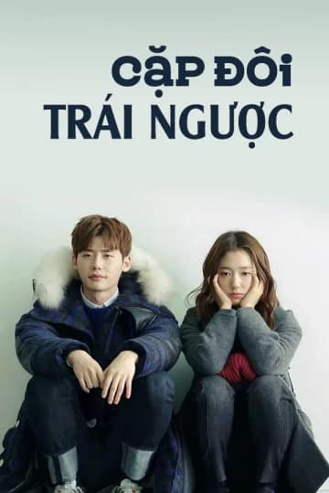 Poster phim Cặp Đôi Trái Ngược (2014)