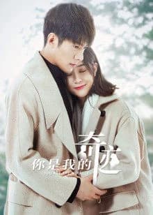 Poster phim Cậu Là Kỳ Tích Của Tôi (2019)