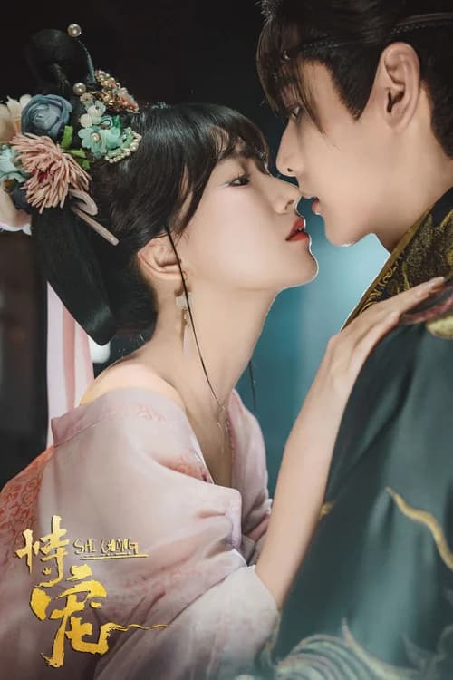 Poster phim Cậy Sủng (2025)