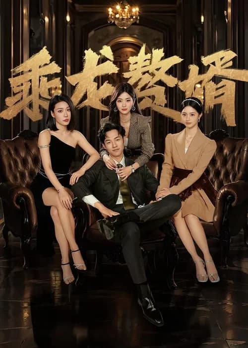 Poster phim Chàng Rể Tài Ba (2024)