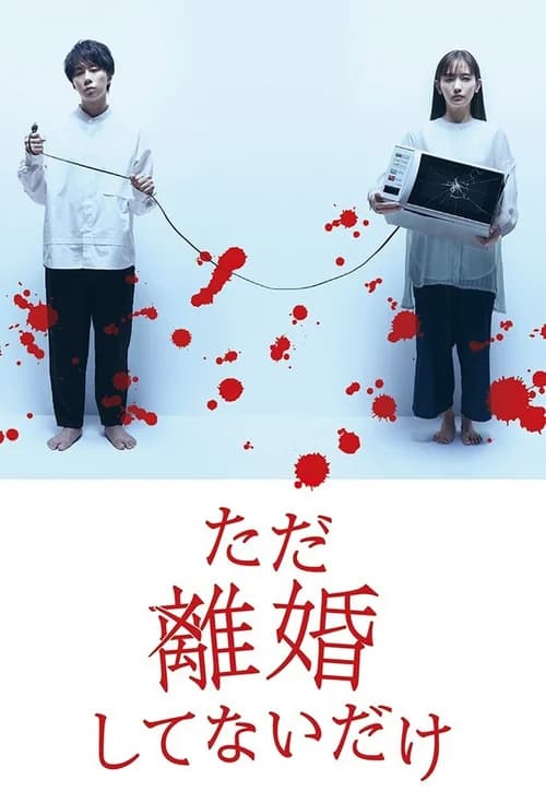 Poster phim Chỉ Là Không Ly Hôn (2021)