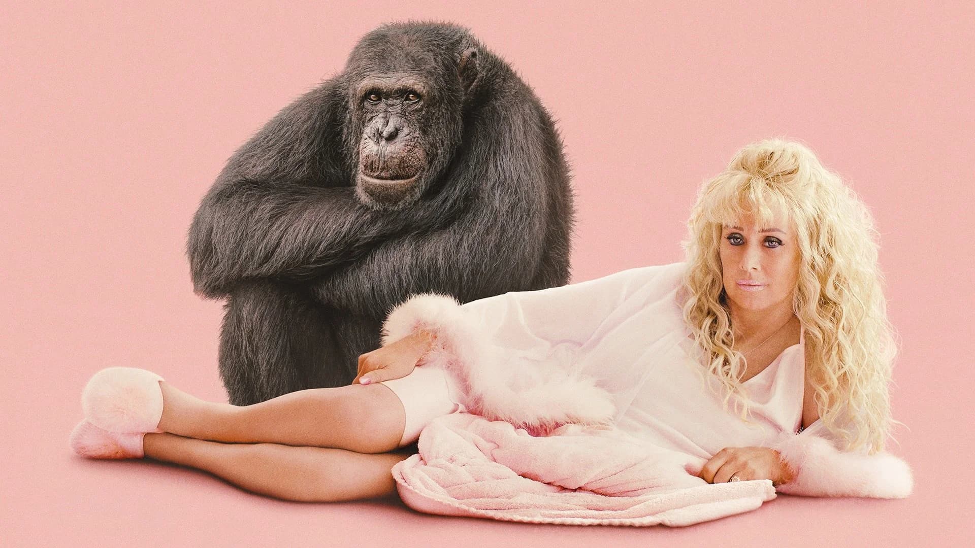 Backdrop phim Chimp Crazy