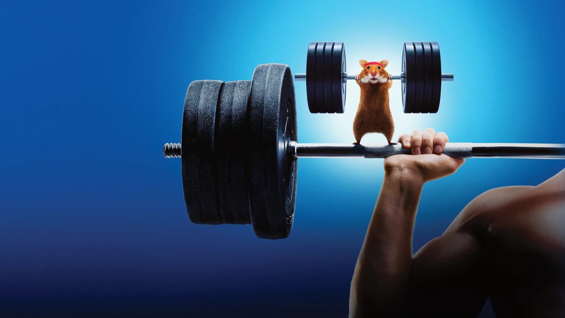 Backdrop phim Con Người Đấu Với Hamster