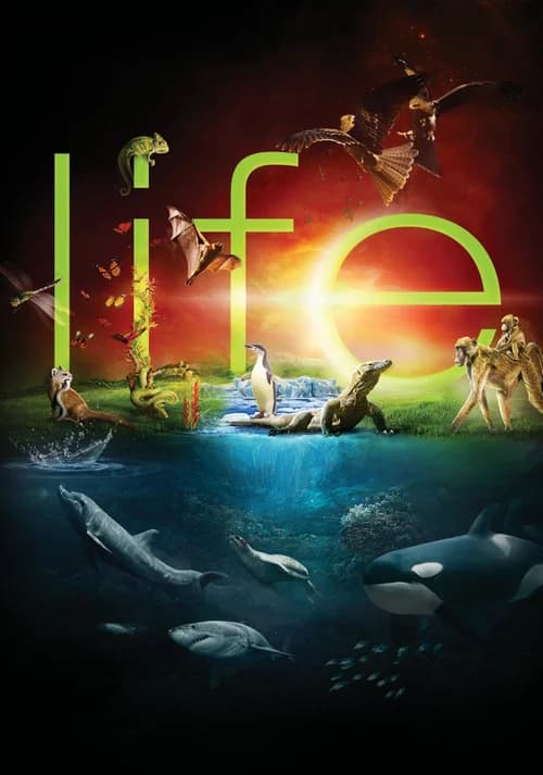 Poster phim Cuộc Sống Hoang Dã (2009)