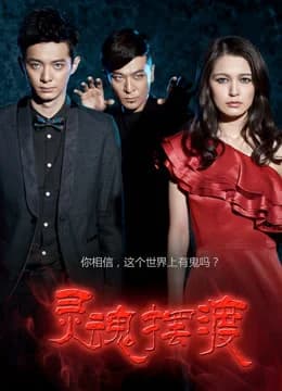 Poster phim Dẫn Độ Linh Hồn (2014)
