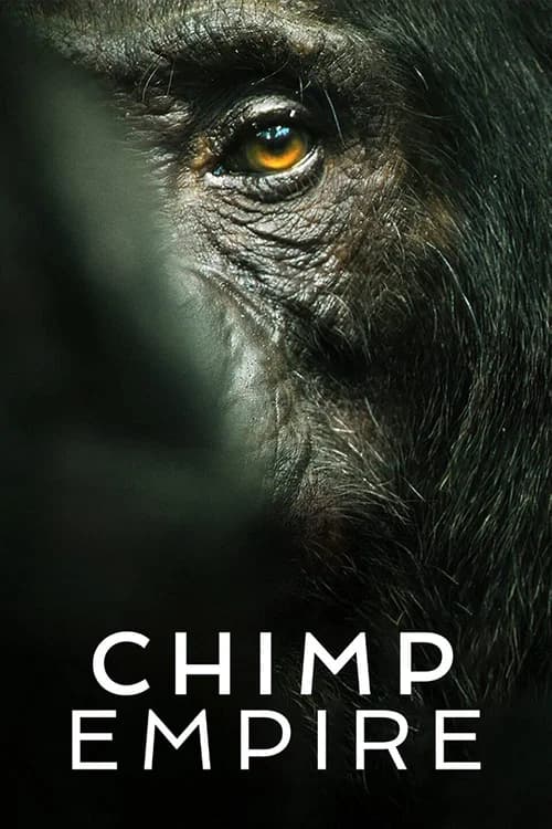 Poster phim Đế chế tinh tinh (2023)