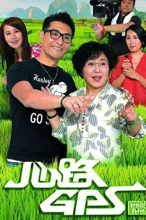 Poster phim Định Vị Trái Tim (2013)