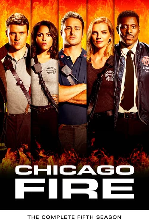 Poster phim Đội Cứu Hoả Chicago (Phần 5) (2012)