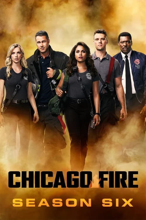 Poster phim Đội Cứu Hoả Chicago (Phần 6) (2012)