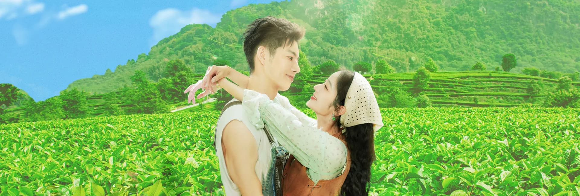 Backdrop phim Đồi Trà Tình Yêu