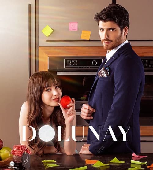 Poster phim Dolunay (2017)