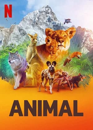 Poster phim Động vật (Phần 1) (2021)