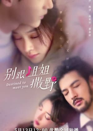 Poster phim Đừng Nhờn Với Chị (2022)