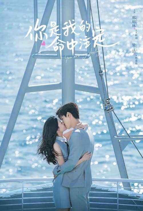 Poster phim Em Là Định Mệnh Đời Anh (2020)