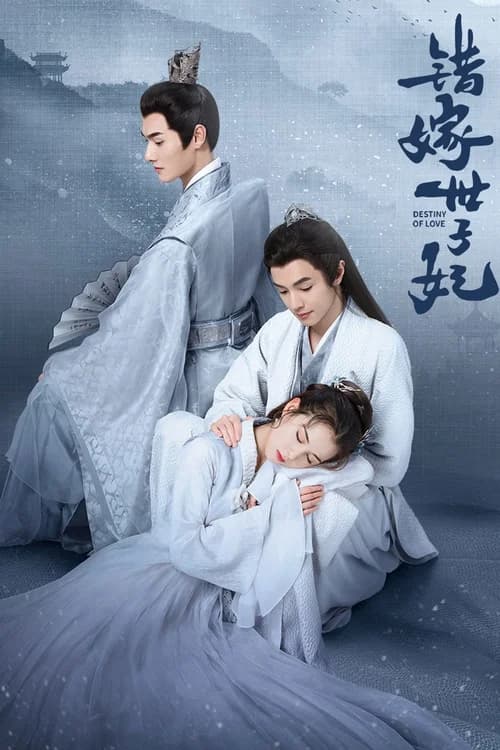 Poster phim Gả Nhầm Thế Tử Phi (2025)