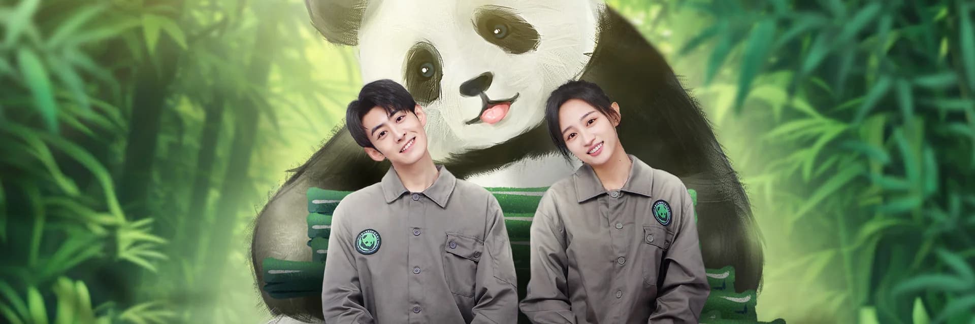 Backdrop phim Gấu Trúc Và Bạn, Lăn Đến Đây!