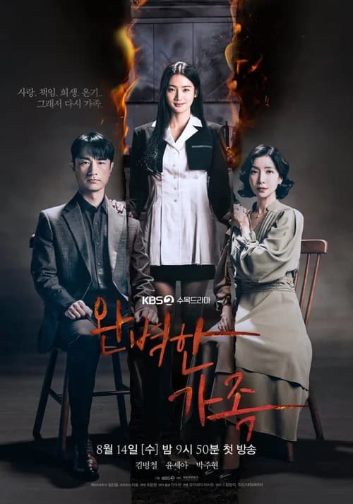 Poster phim Gia Đình Hoàn Hảo (2024)