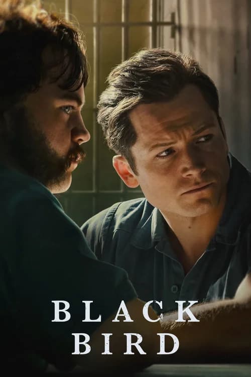 Poster phim Hắc Điểu (Phần 1) (2022)