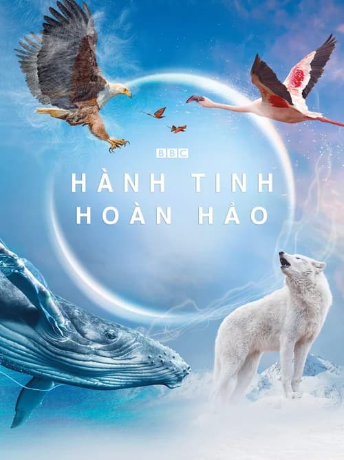 Poster phim Hành Tinh Hoàn Hảo (2021)