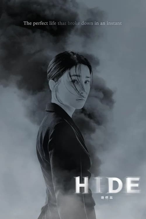 Poster phim Mất Tích (2024)