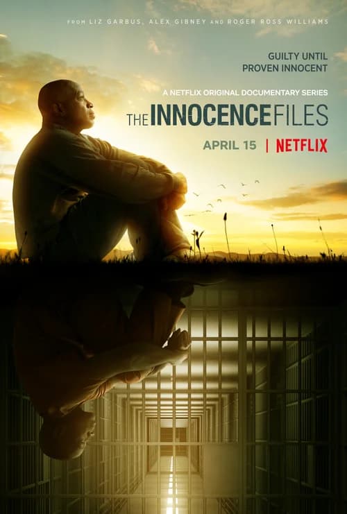 Poster phim Hồ sơ vô tội (2020)