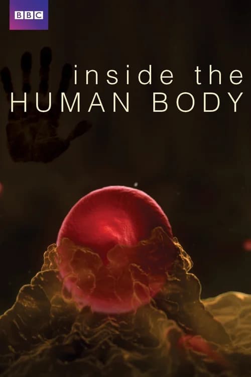 Poster phim Inside the Human Body (2011)