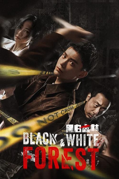 Poster phim Khu Rừng Đen Trắng (2024)